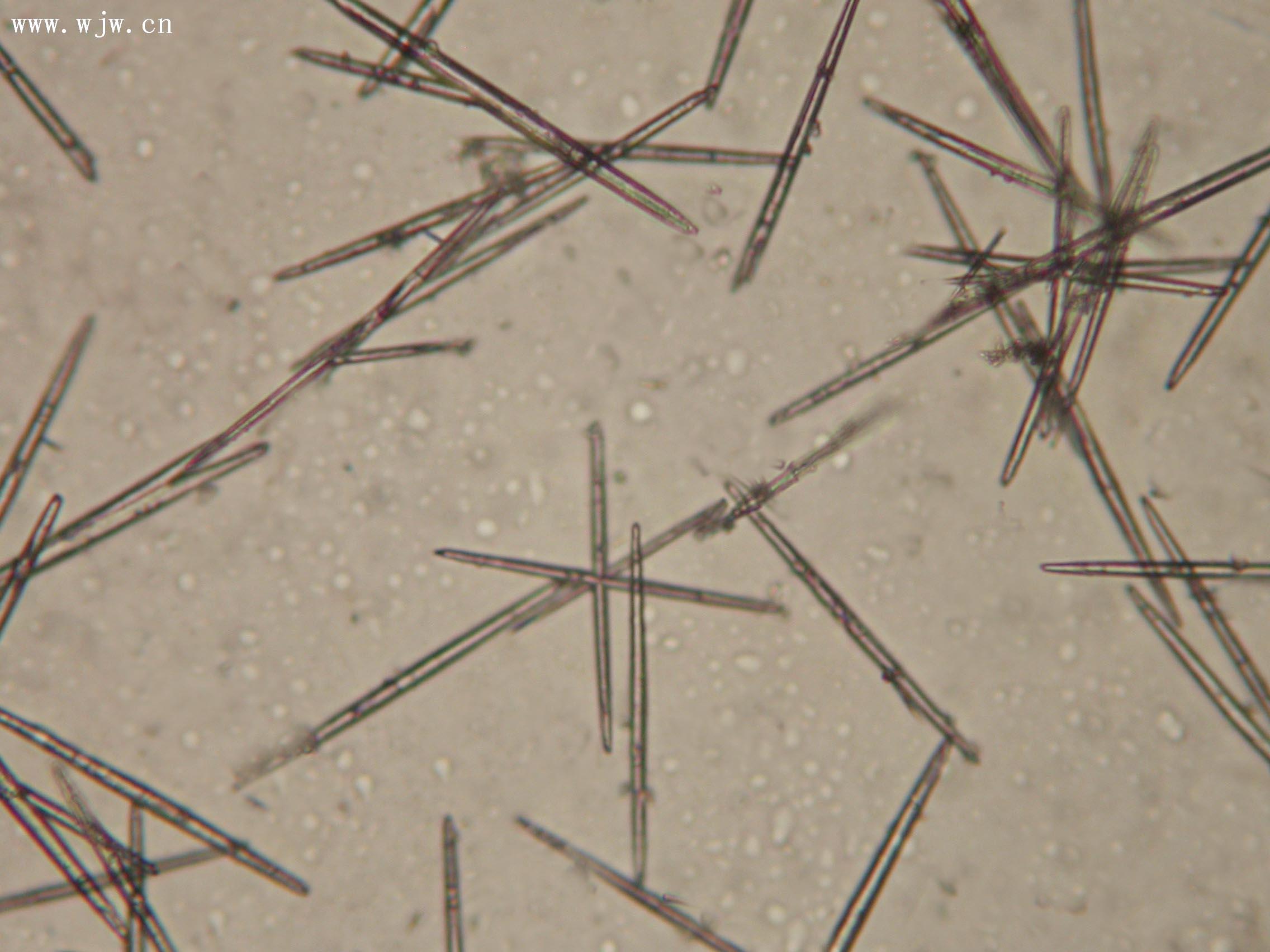 碳酸钙晶须的制备及对天然橡胶补强性能的研究